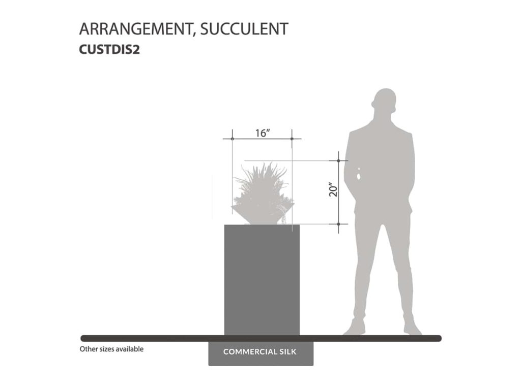 Succulent Arrangement ID# CUSTDIS2
