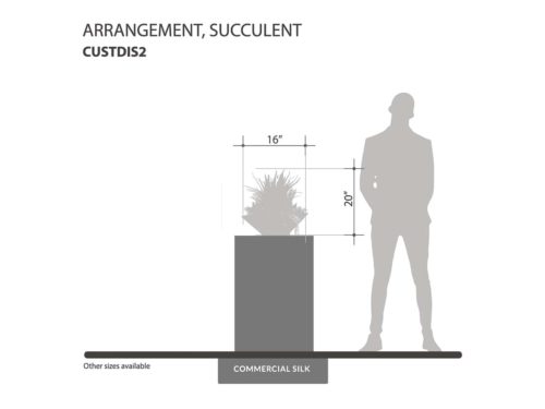Succulent Arrangement ID# CUSTDIS2