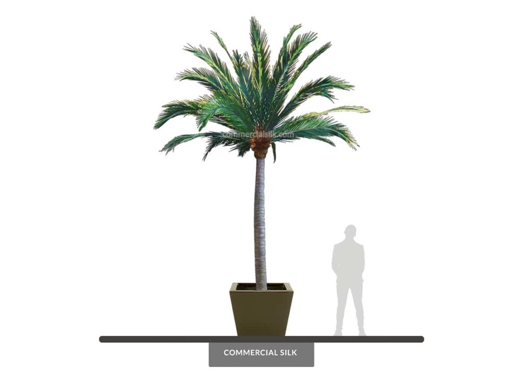Coconut Palm Tree, 17' ID# 10518