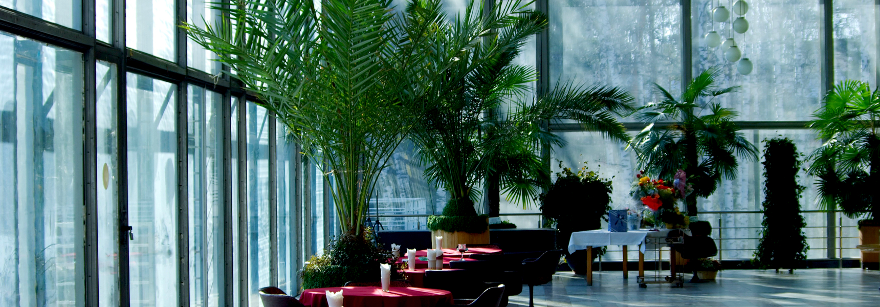 12 Faux Trees Ideal For Indoors