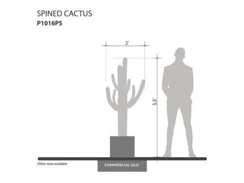 Spined Cactus Plant ID# P1016PS