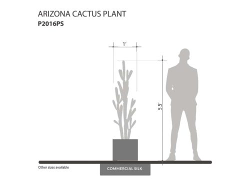 Arizona Cactus Plant ID# P2016PS