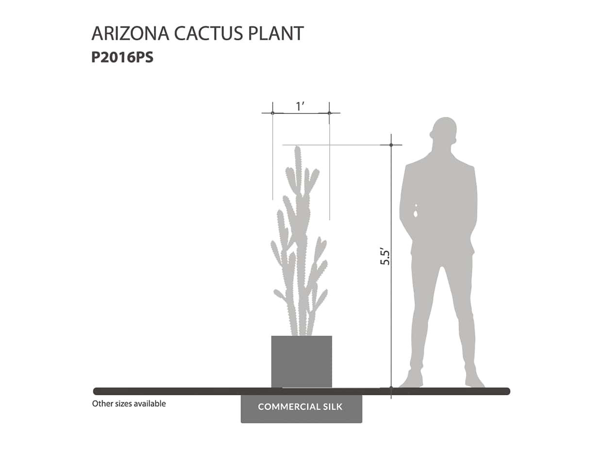 Arizona Cactus Plant ID# P2016PS