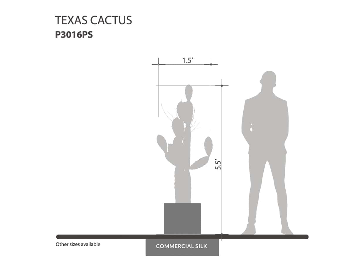 Texas Cactus Plant ID# P3016PS