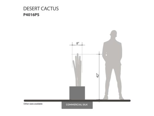 Desert Cactus Plant ID# P4016PS