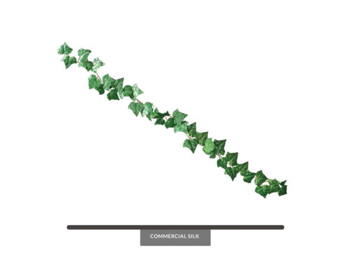 Algerian Ivy Garland ID# ALG#72