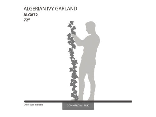 Algerian Ivy Garland ID# ALG#72