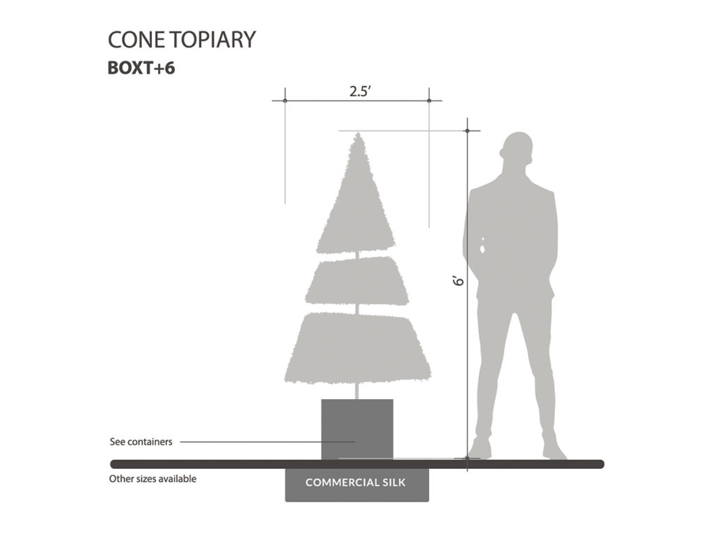 Boxwood Cone Topiary ID# BOXT+6