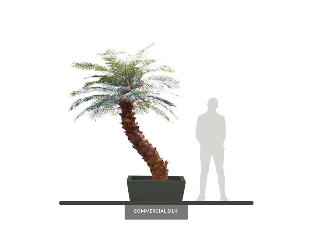 Sago Palm Tree, 9', Outdoor ID# PSGM9+