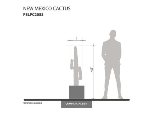 New Mexico Cactus Plant ID# PSLPC205S