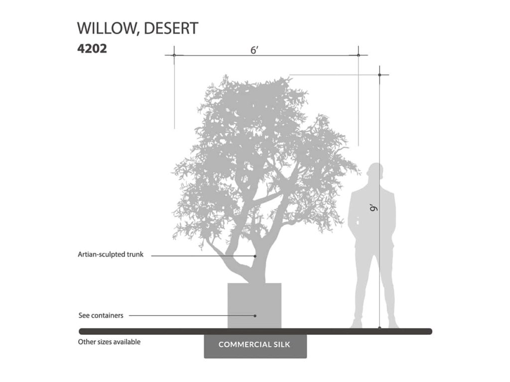 Desert Willow Tree ID# 4202