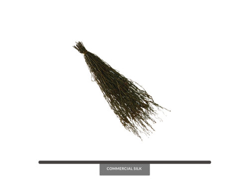 Aerial Roots Hanging Plant