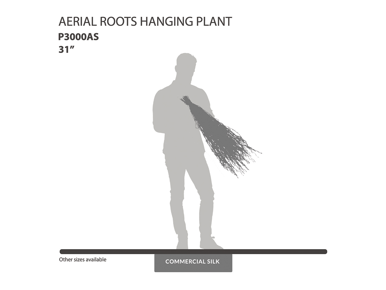 Aerial Roots Hanging Plant
