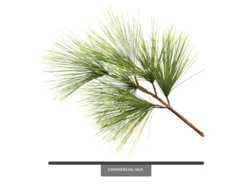 Southern Pine Spray ID# PST#30
