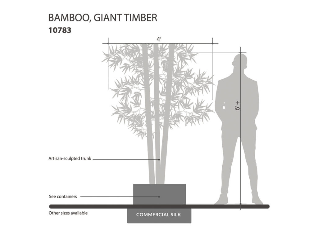 Timber Bamboo Canes, Giant ID# 10783