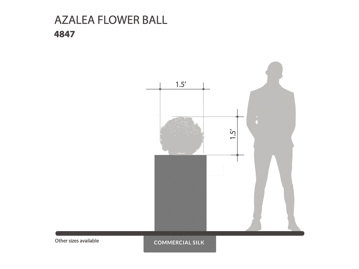 Azalea Flower Ball Plant ID# 4847