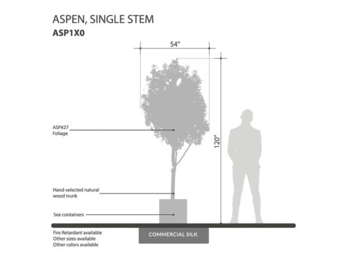 Aspen Grove ID# ASP1X0