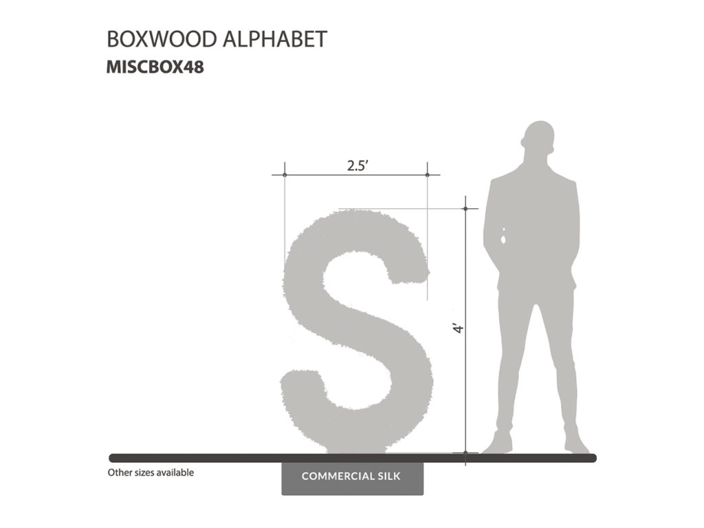 Boxwood Alphabet ID# 