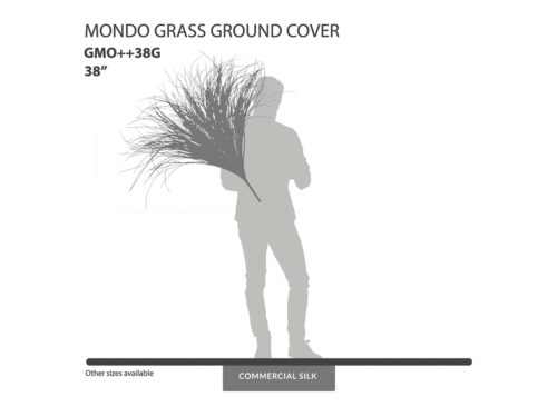 Mondo Grass Ground Cover ID# GMO++38G