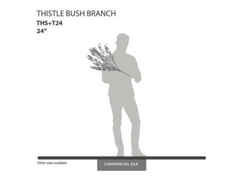 Thistle Bush ID# THS+T24