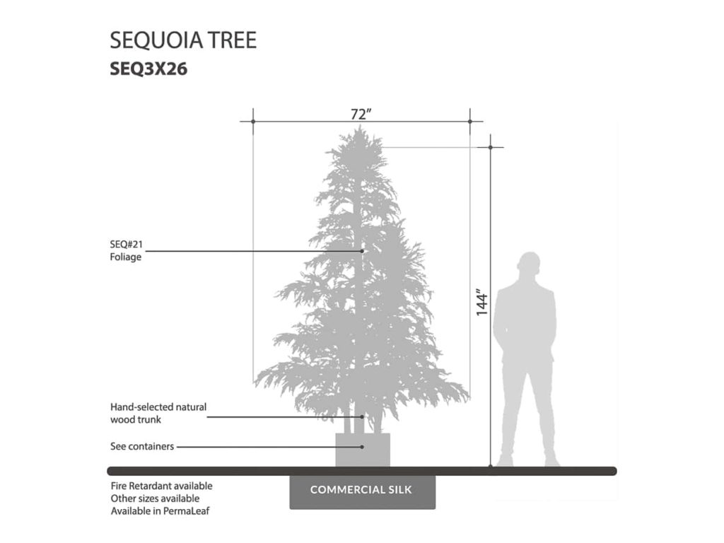 Sequoia Tree ID# SEQ3X26