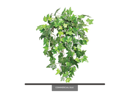 Needlepoint Ivy Vine ID# NPI#10