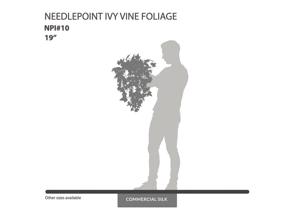Needlepoint Ivy Vine ID# NPI#10