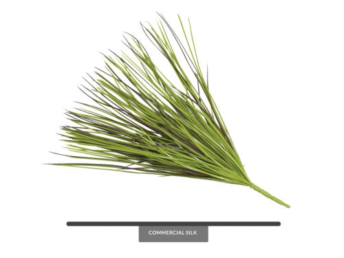 Willow Grass Foliage ID# GRW++22