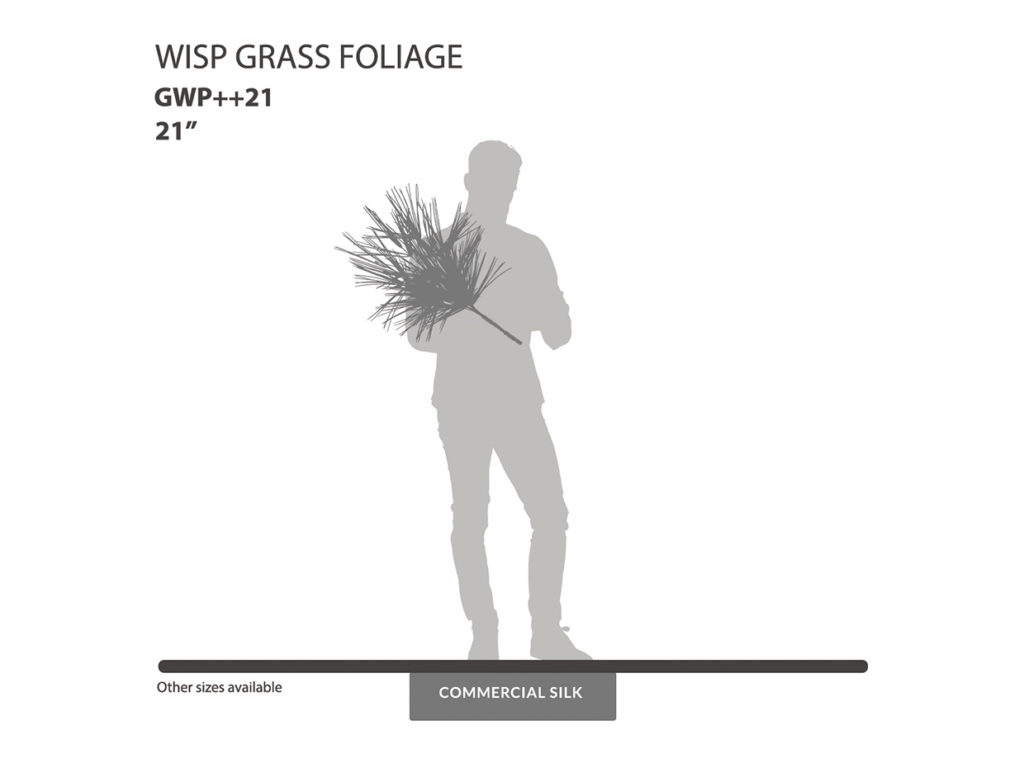 Wisp Grass Bush ID# GWP++21