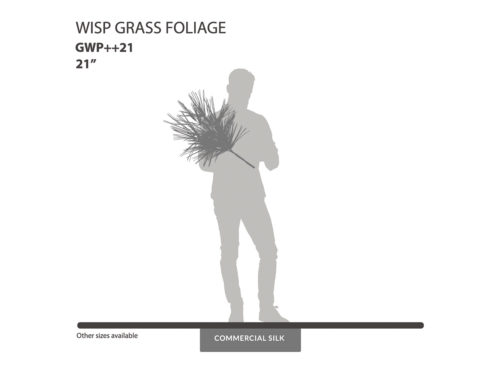 Wisp Grass Bush ID# GWP++21