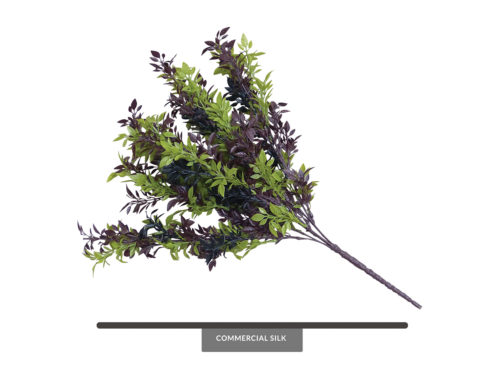 Marigold Bush ID# MAR++20