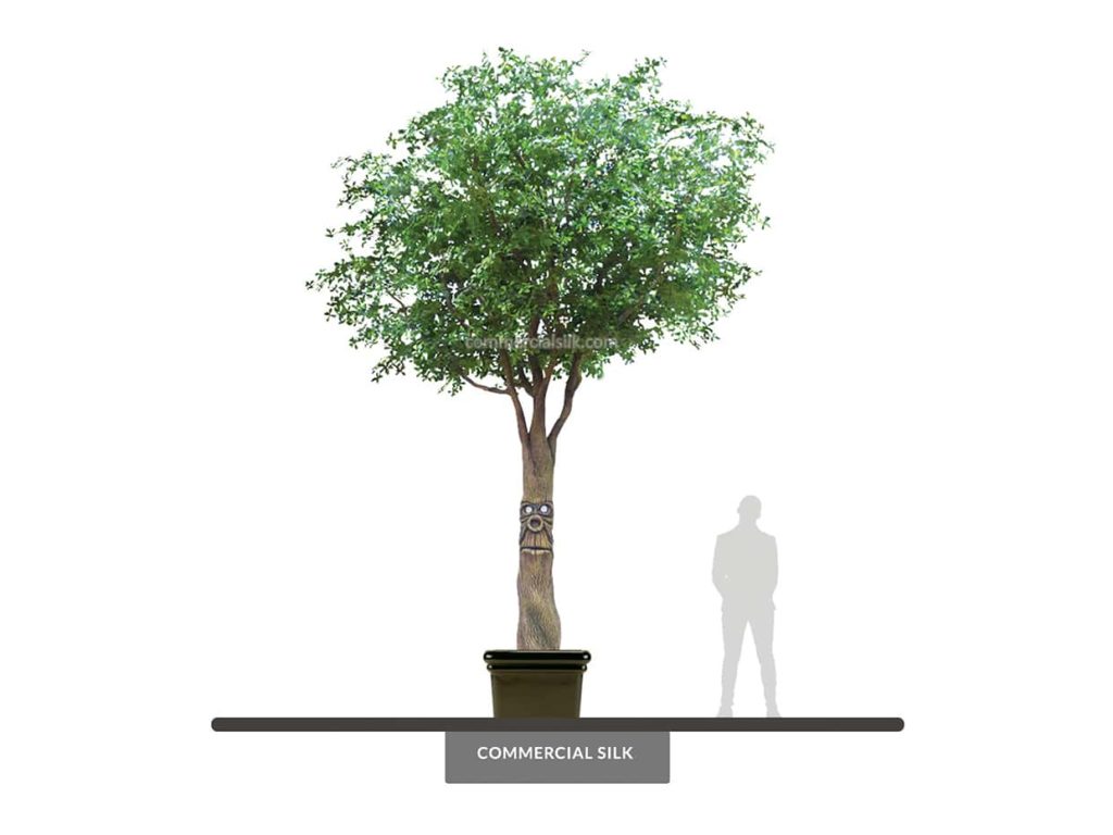 Black Olive Tree, Carved ID# 13107