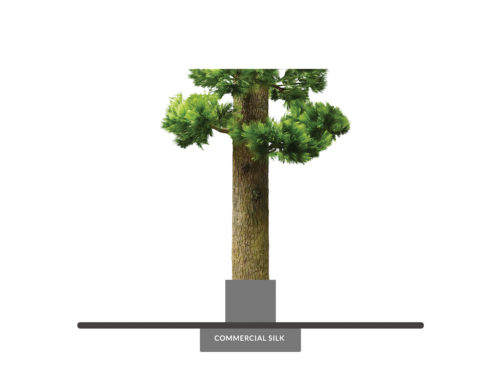 Long Needle Pine Tree, Column Wrap ID# PLN1X0