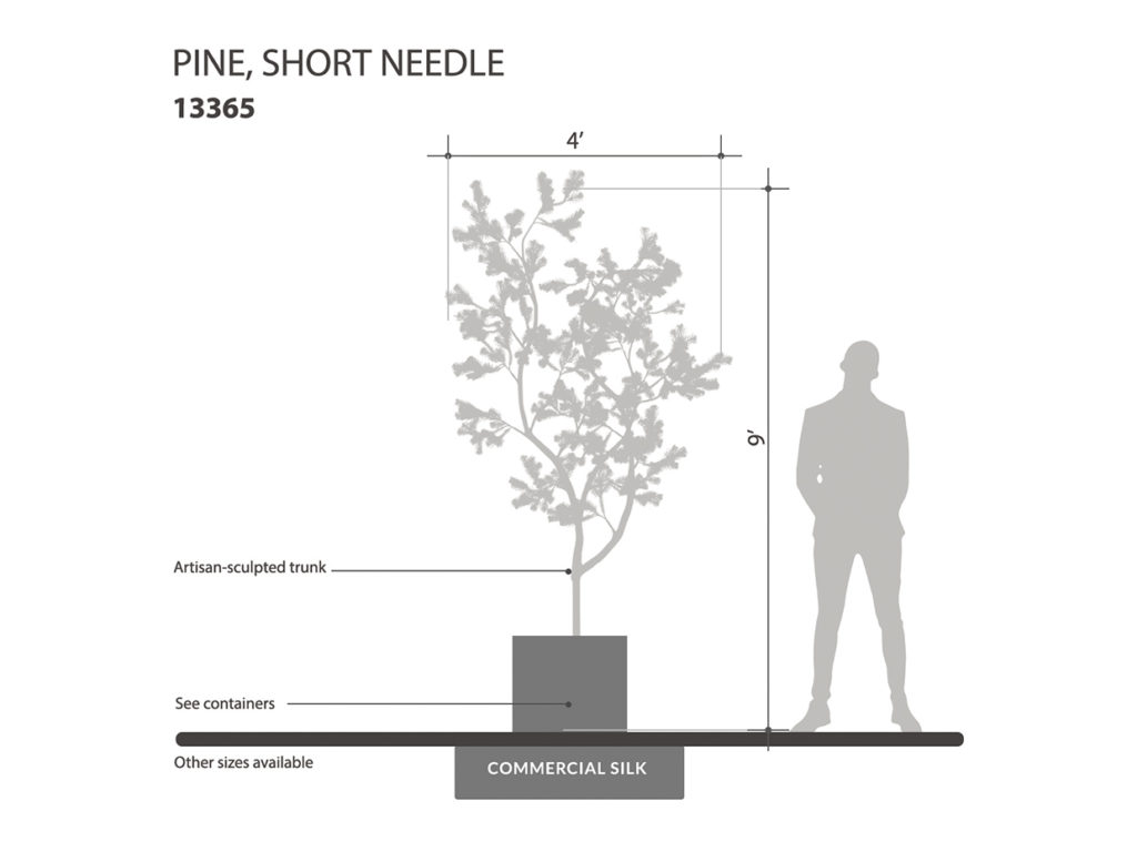 Short Needle Pine Tree ID# 13365