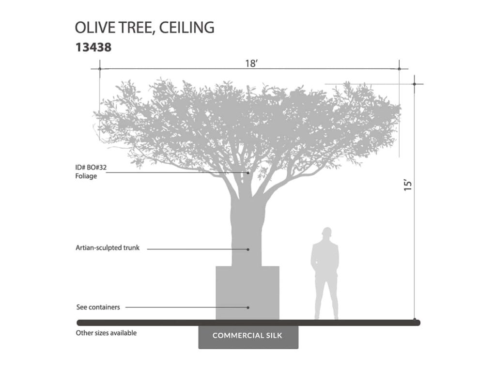 Olive Tree, Ceiling Tree ID# 13438