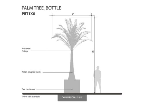 Bottled Palm Tree ID# PBT1X6