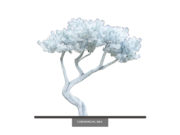 Bonsai Tree, Monochromatic ID# 14361