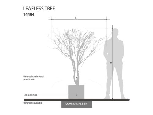 Leafless Tree ID# 14494