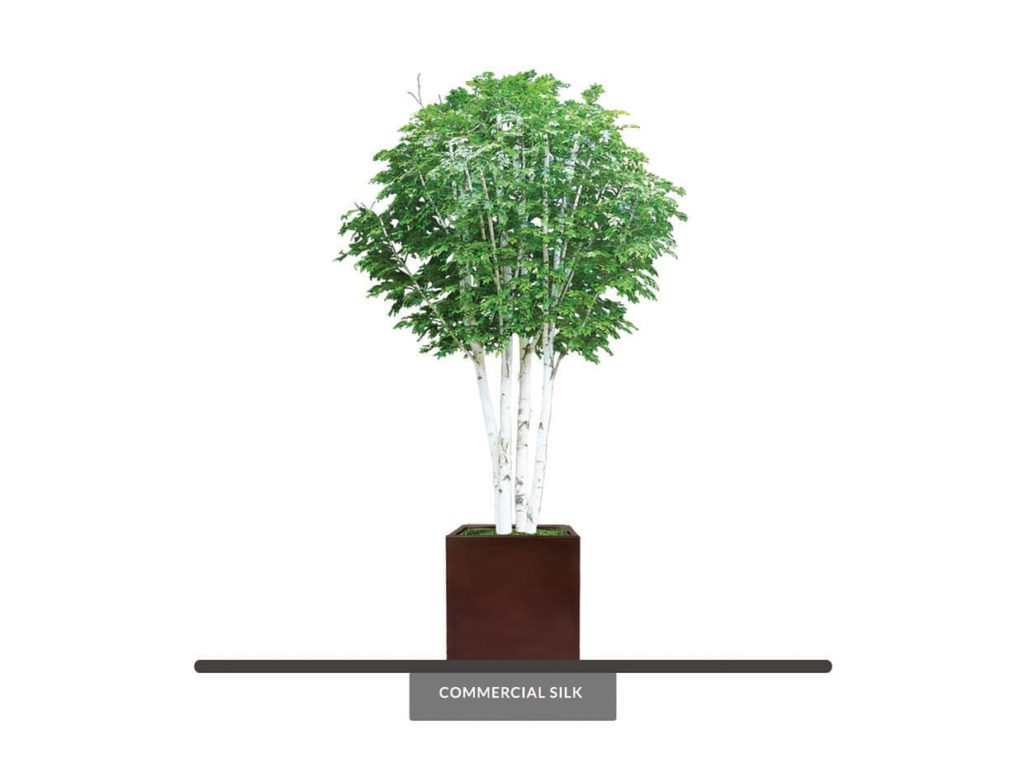 Artificial Birch Tree Indoor