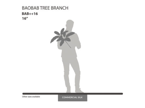 Baobab Tree Branches ID# BAB++16