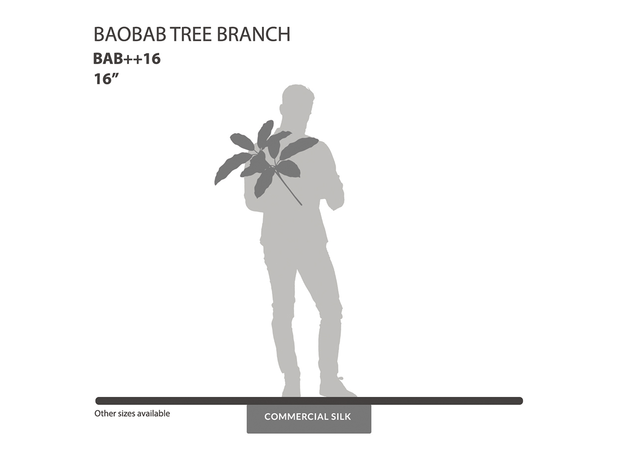 Baobab Tree Branches ID# BAB++16