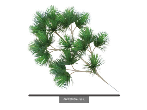 Pine Spray ID# PPP++34