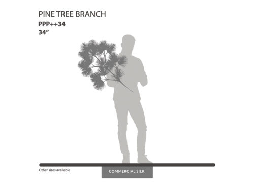 Pine Spray ID# PPP++34