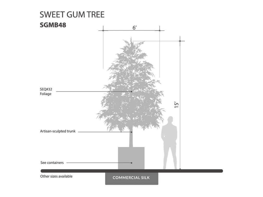Sweet Gum Tree ID# SGMB48
