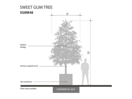 Sweet Gum Tree ID# SGMB48