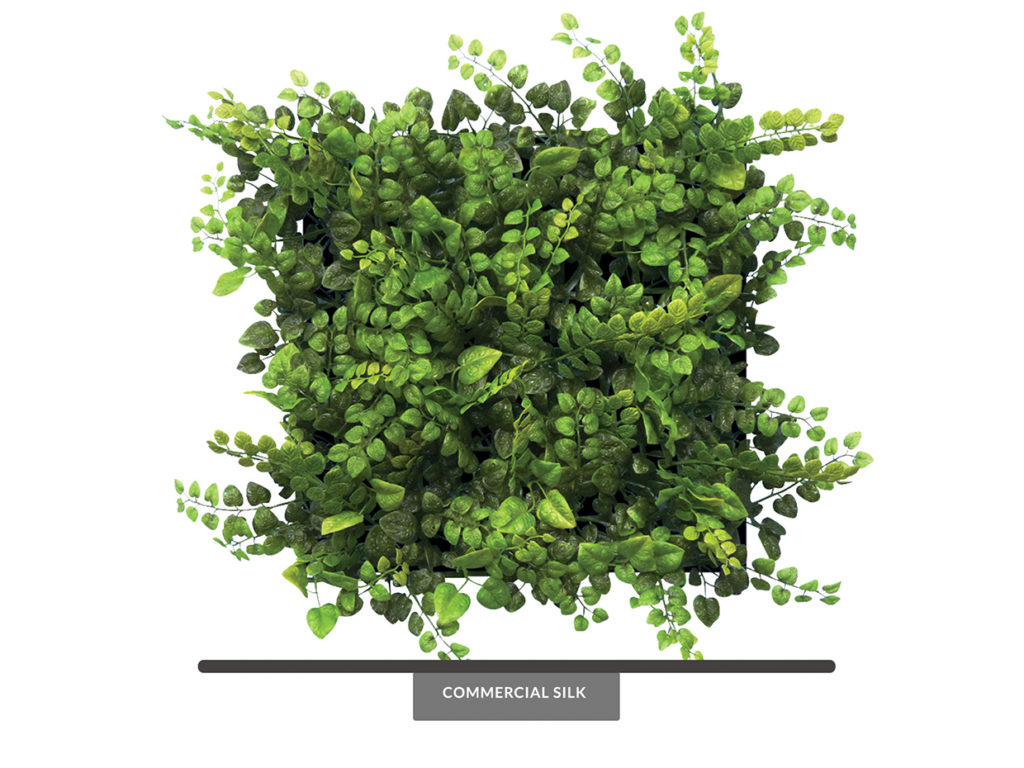 Creeping Fig Mat (Outdoor)