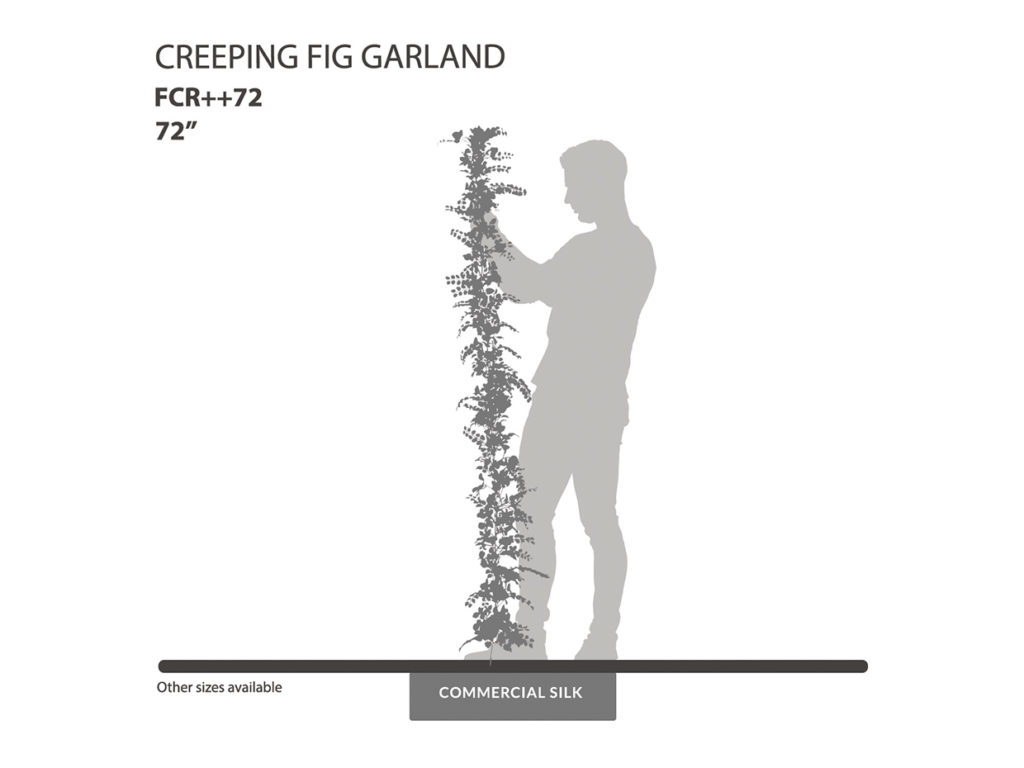 Creeping Fig Garland ID# FCR++72