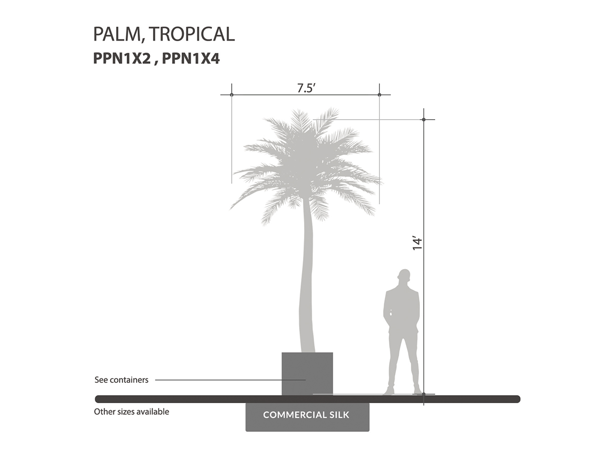 Tropical Palm Tree ID# PPN1X2 , PPN1X4