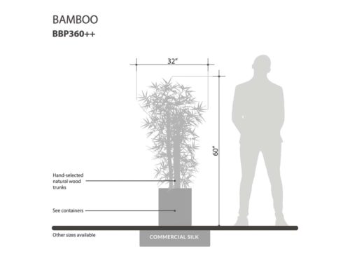 Bamboo Bush ID# BBP360++