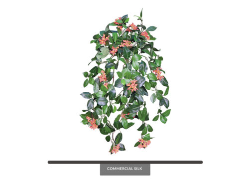 Flowers Jasmine Vine, Salmon ID# JAS#30S